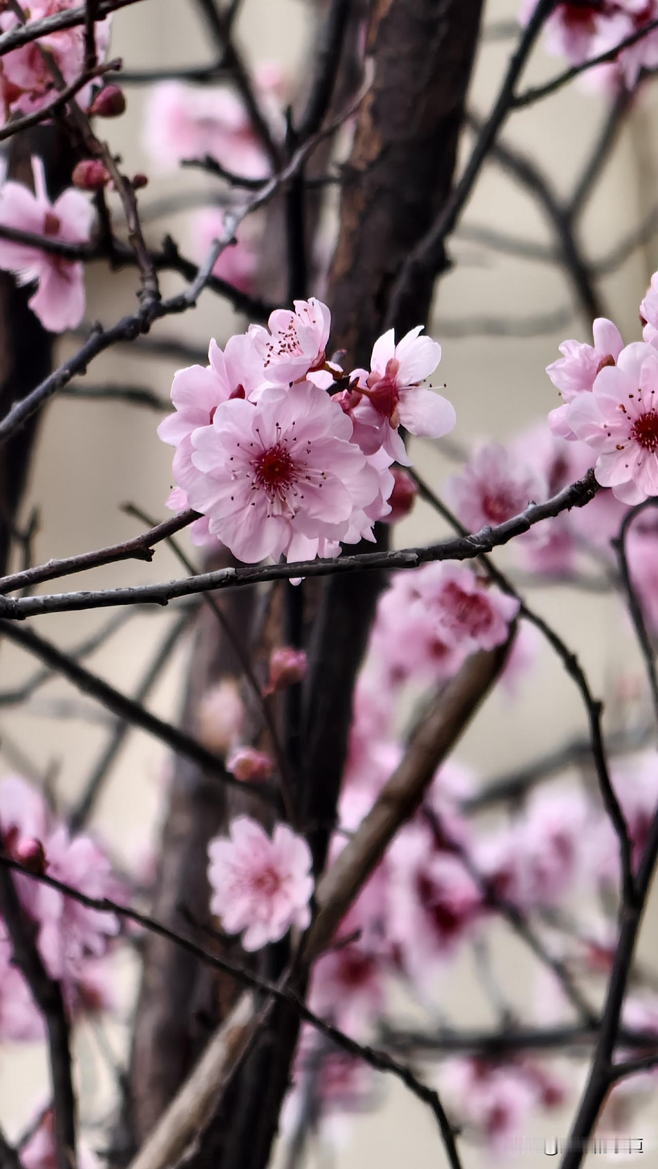 儿子的话震惊了我！00后是不懂这个世界、还是真的不爱钱[捂脸]？这不前几天卖车嘛