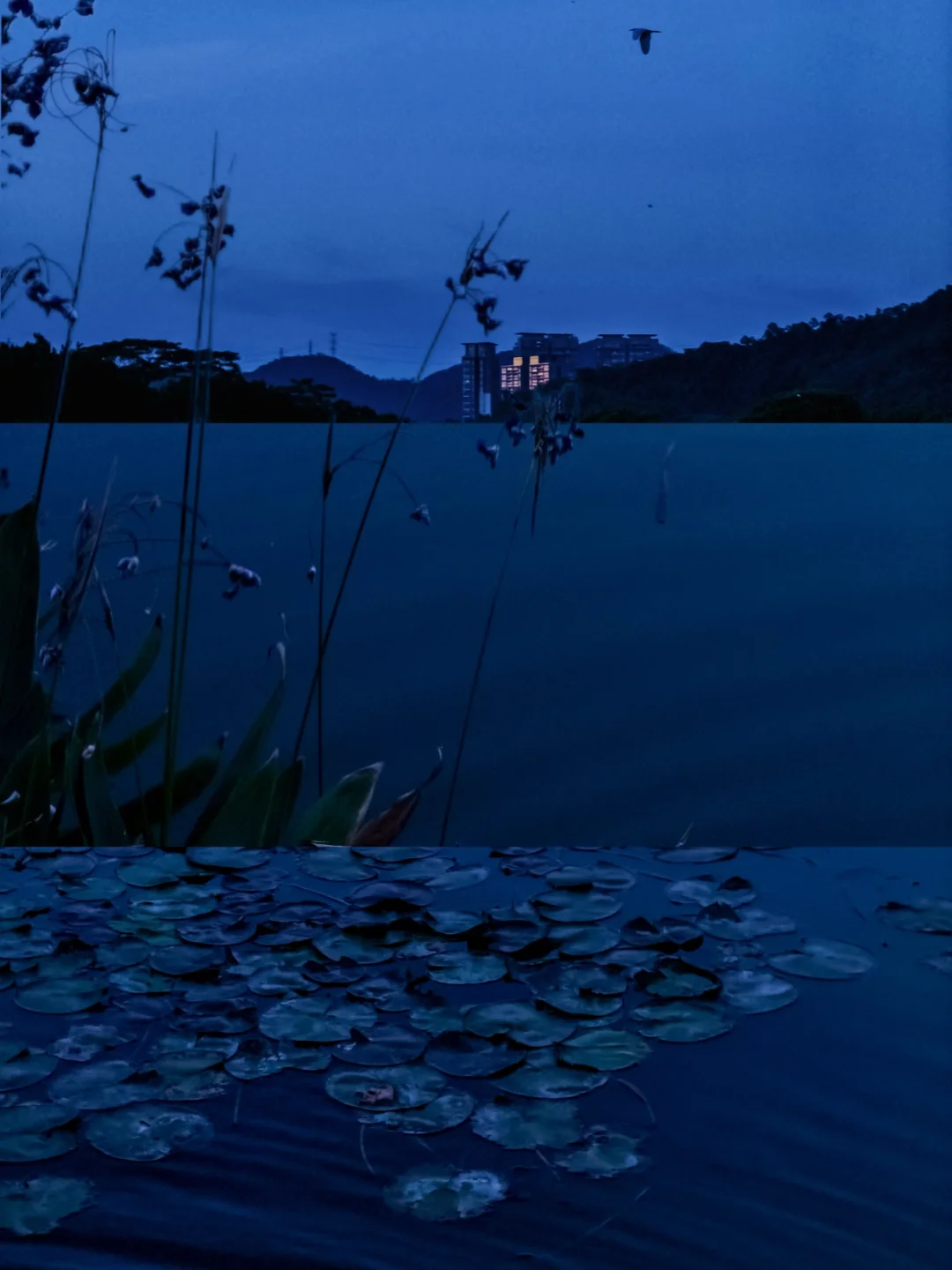 日落后二十分钟的蓝调絮语💠