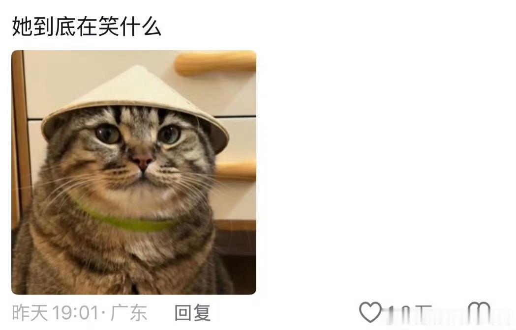 咪有一种行走江湖但毫无功夫的感觉一身潇洒走四方的架势，像怀揣江湖梦的侠客，迈着小