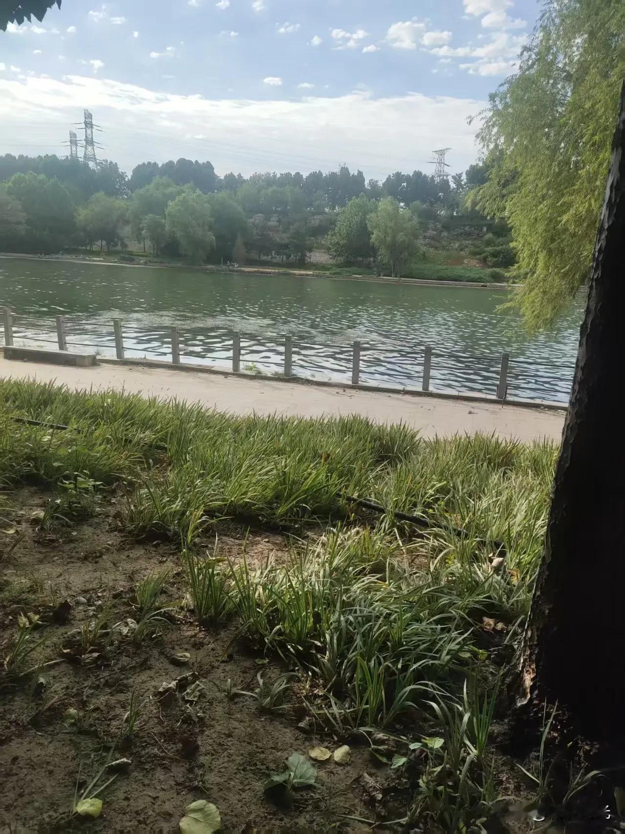夏日生活打卡季