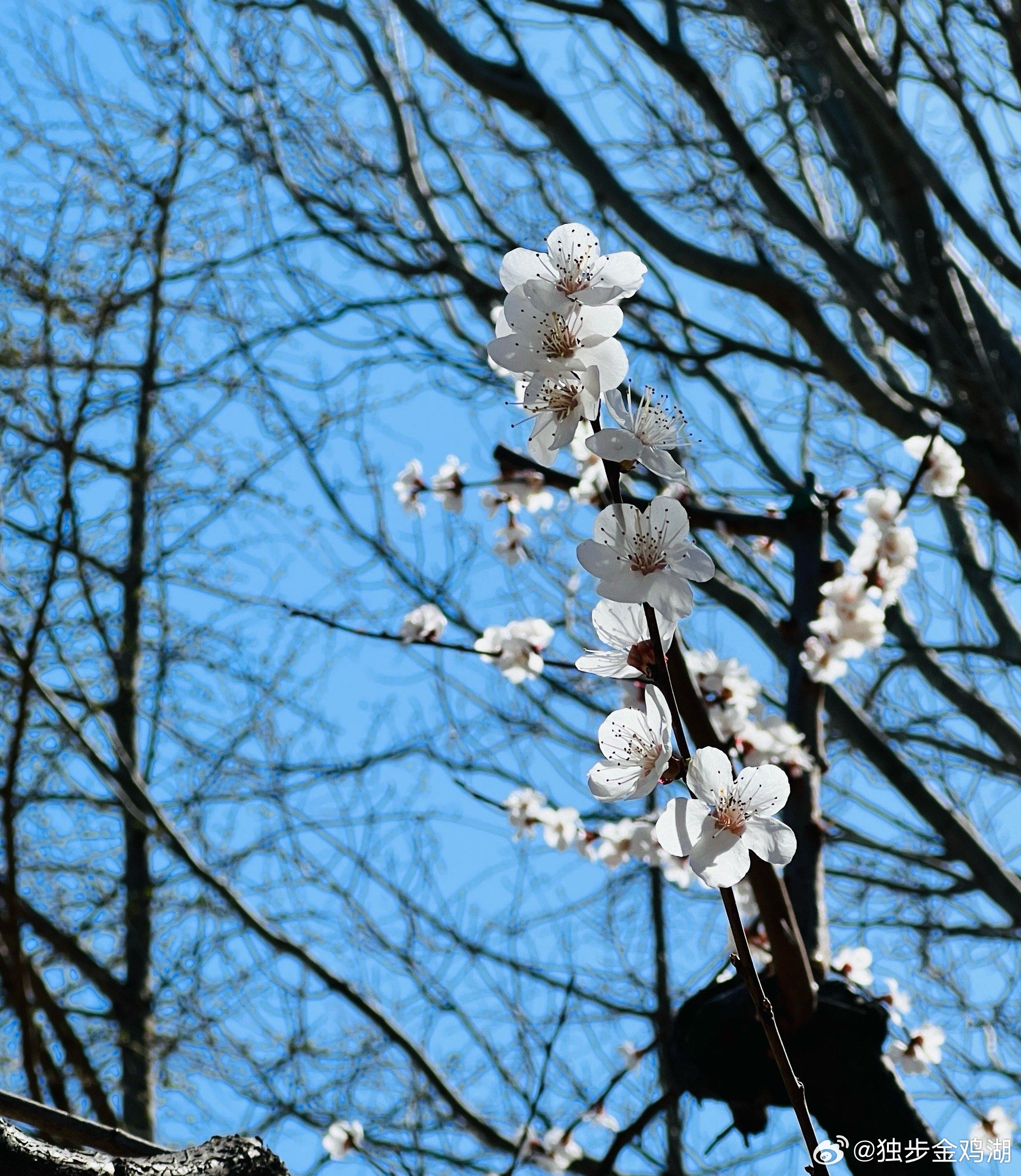 心里话         人生的每一次选择，都像是在生命的地图上画下一个座标。  