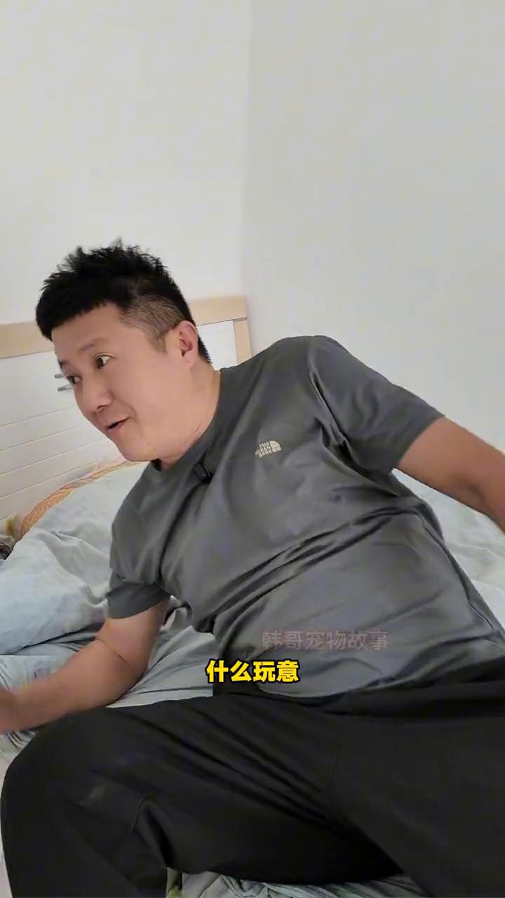 韩哥宠物故事。
这猫是真气人，一天天的都给我弄掉下来。过分了，大白子，这回我真的