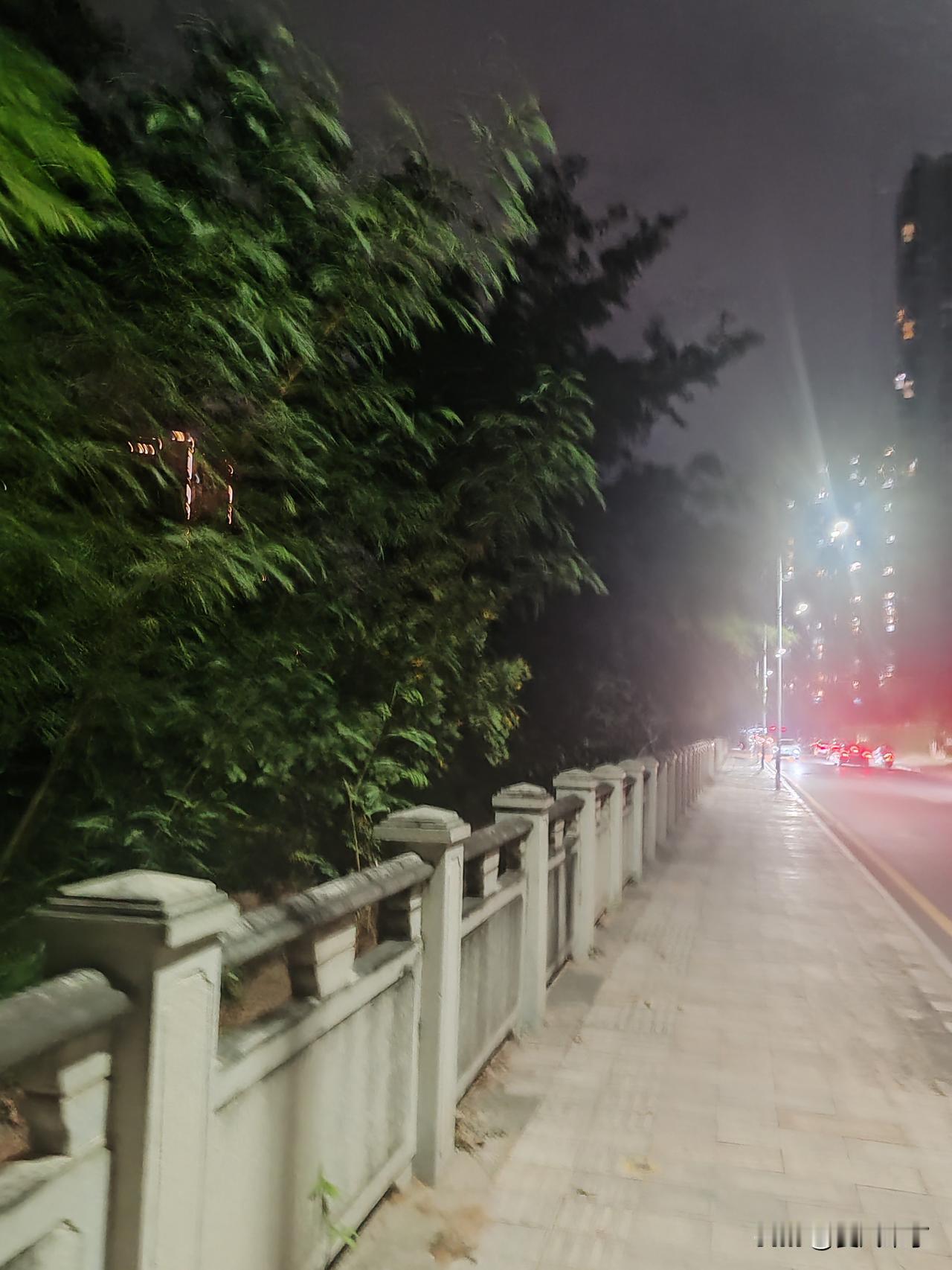 亲眼目睹捕蛇者捕蛇。初中时学过一篇课文柳宗元的《捕蛇者说》，知道捕蛇者从事的是一