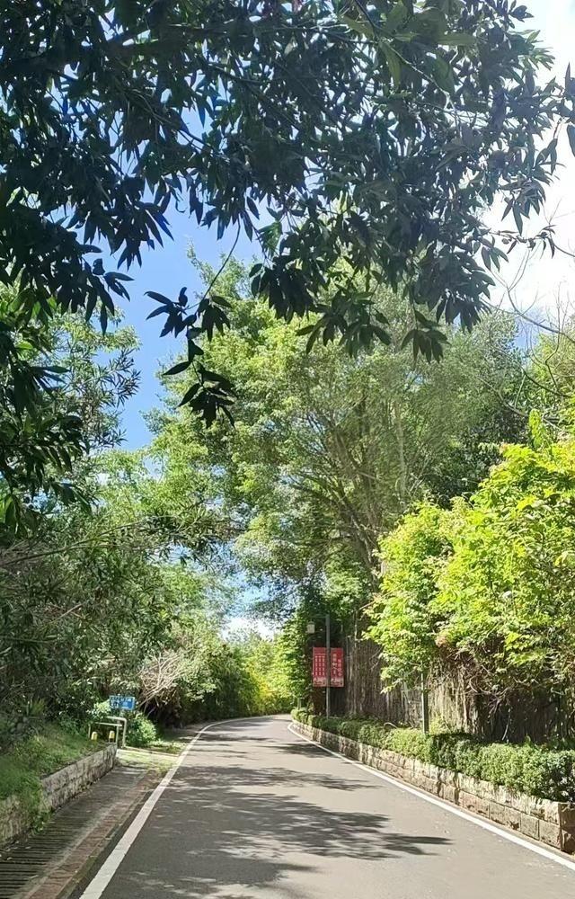 一爸爸因女儿抑郁症总划手，自己压力大晚上偷喝酒，结果被女儿发现。女儿直接怼：＂你