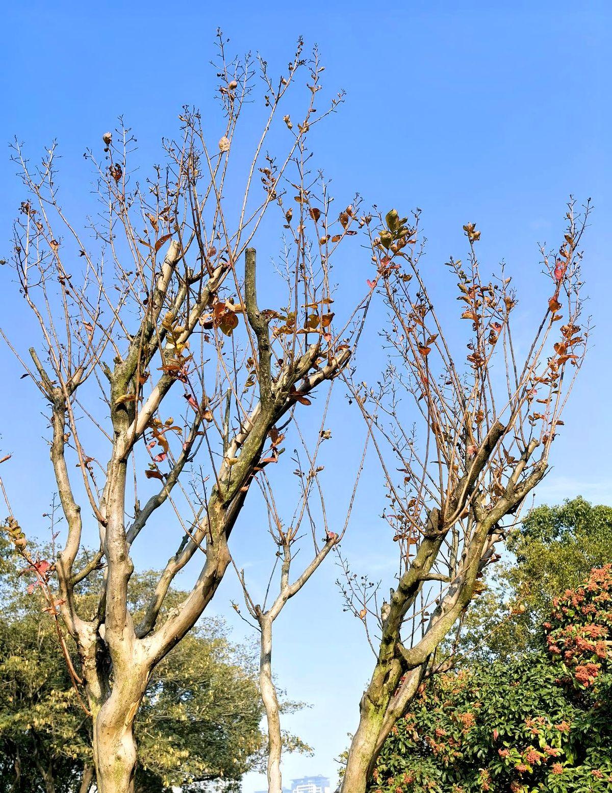老公是个快退休的60后，竟然迎来了他人生中最性感的高光时刻！
他专心致志开车，红