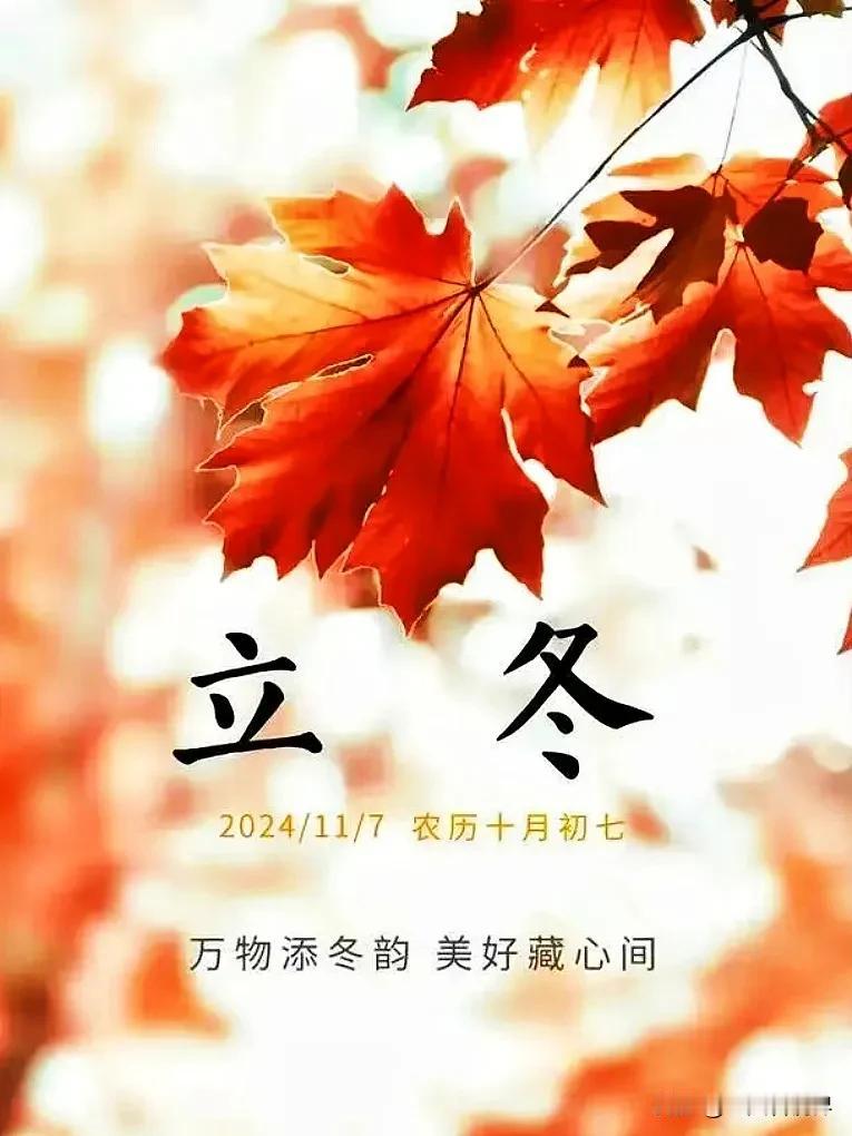 今日立冬｜ 一候水始冰；二候地始冻；三候雉入大水为蜃。秋始尚未寒江，冬始万物收藏
