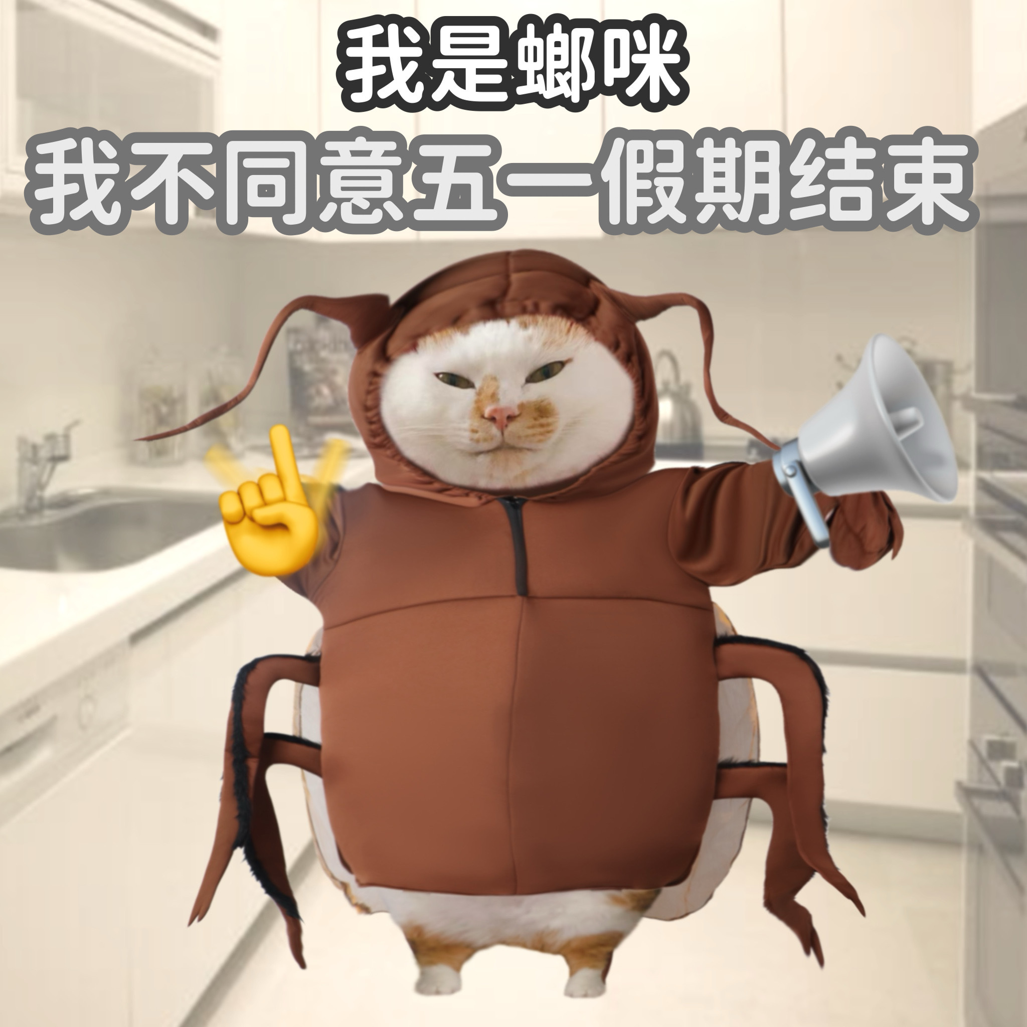 坏消息：明天返岗了[泪][泪] ​​​