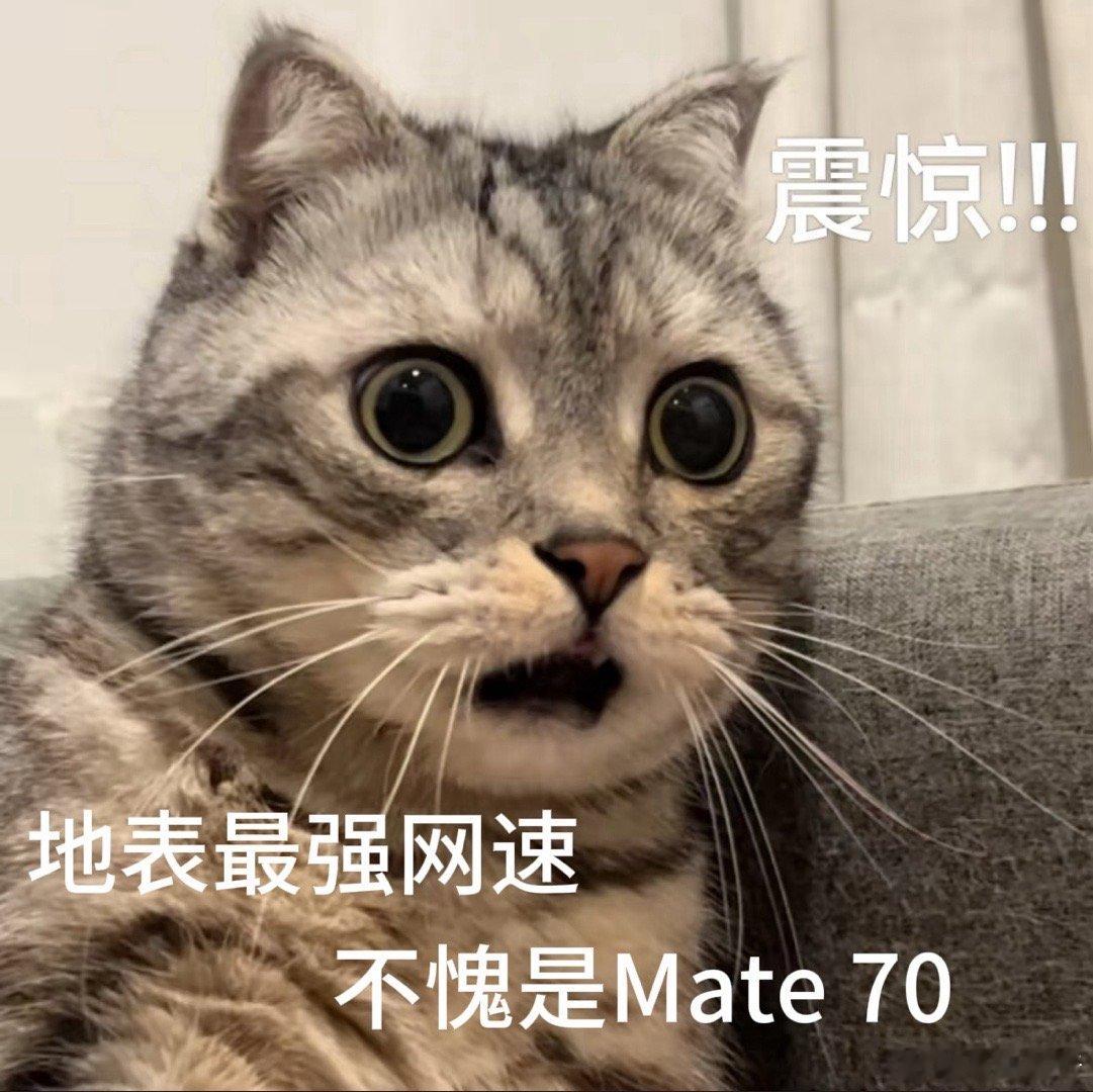 华为Mate70支持最快5GA网络  没想到比5G更快的是5GA！这实测网速属实