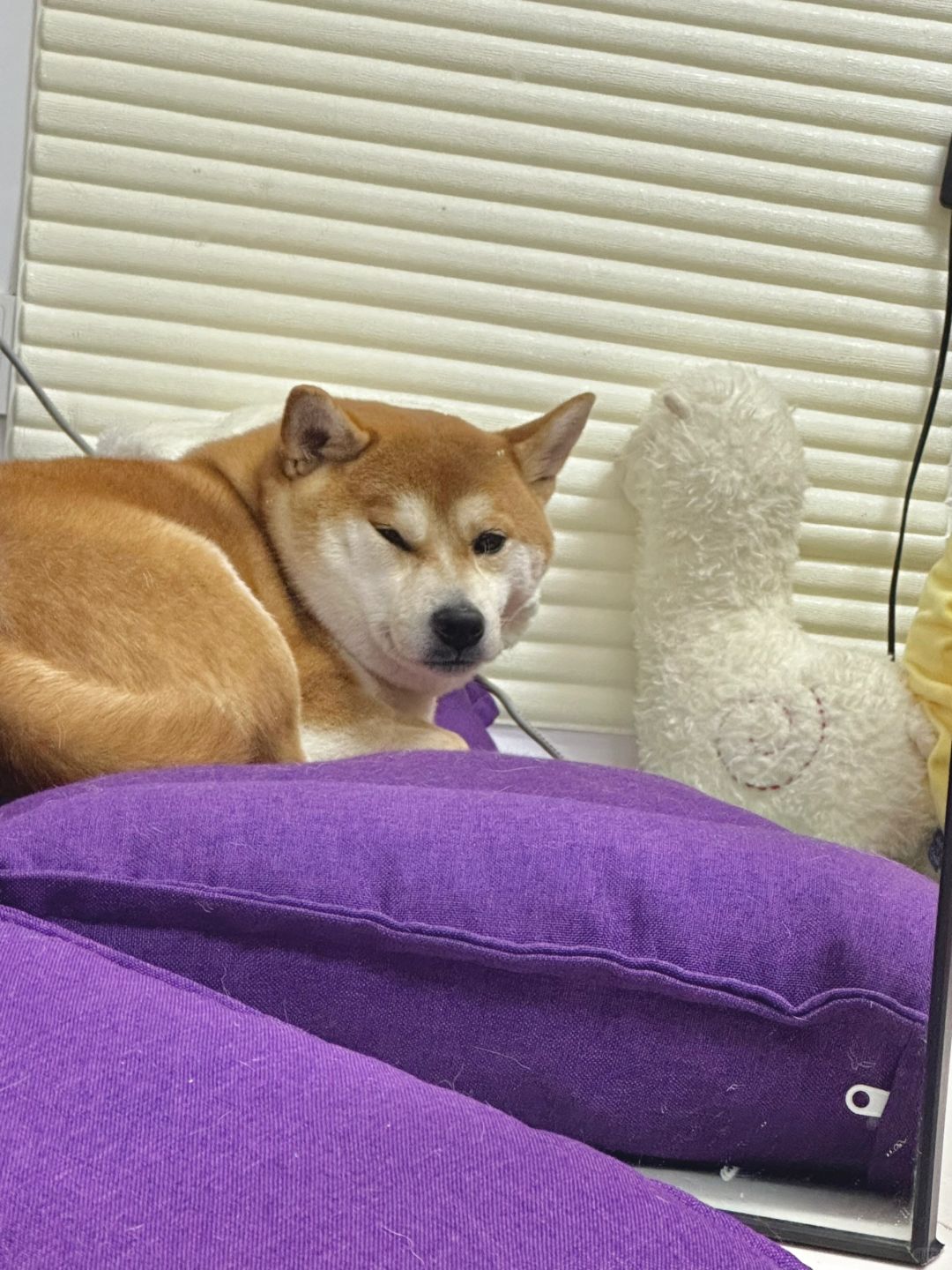 你非得这样偷看我吗