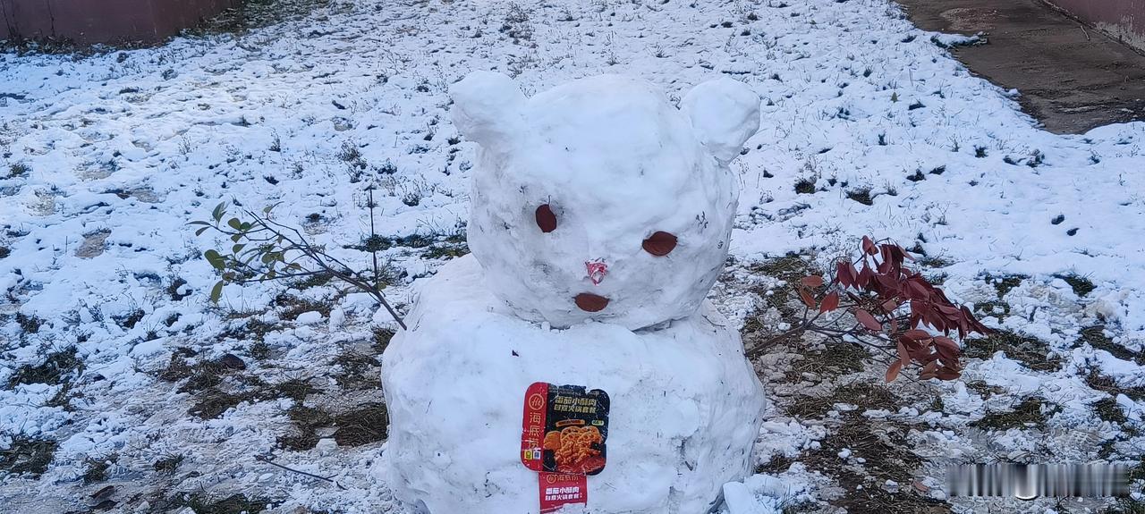 昨天，烟台迎来了入冬后的第二场雪。就下午两个小时时间，就给烟台披上了一层洁白的纱