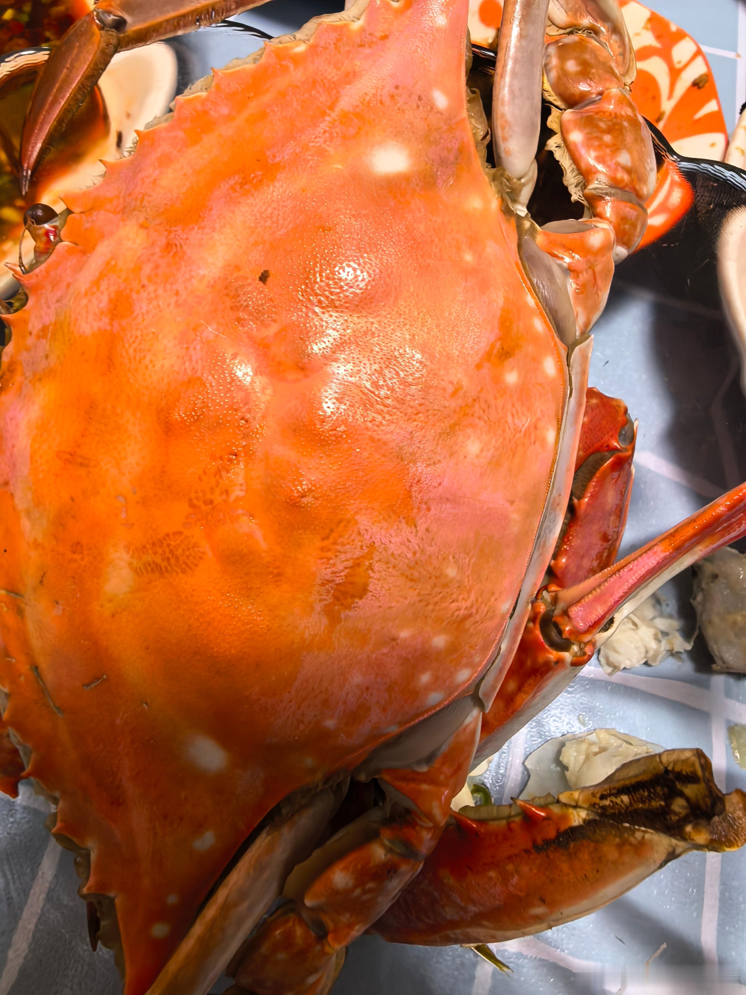 代谢低的真的伤不起，这几天吃🦀也能涨称，太没天理了，烦死了（大圣表情包） ​​