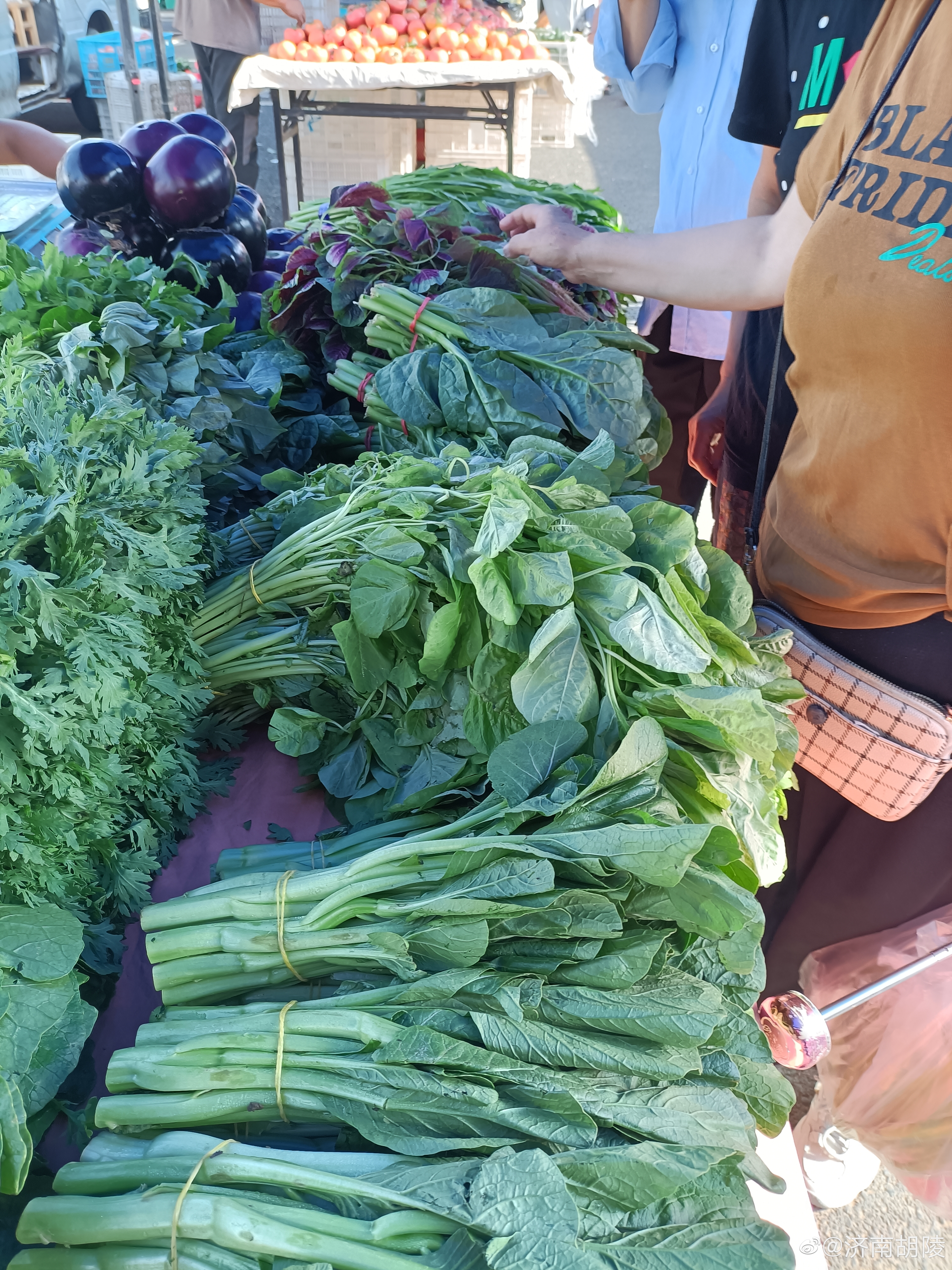 #赶集# 今天主要买水果和蔬菜，去的离家近的菜市场：各种新鲜的绿叶蔬菜，紫苋菜5