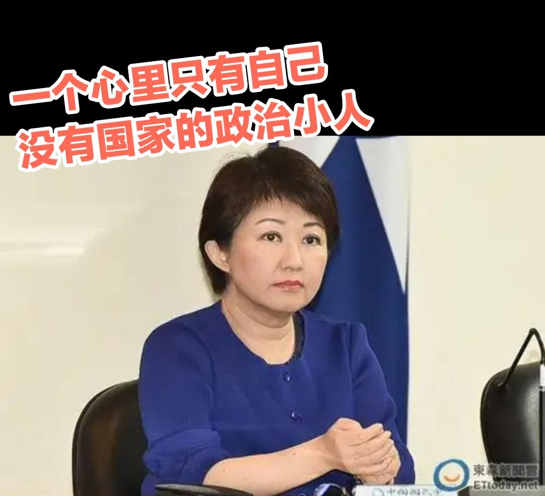 卢秀燕这个女人没有政治前途可言，充其量只是岛内政坛上的一只跳梁小丑，喜欢在政治上