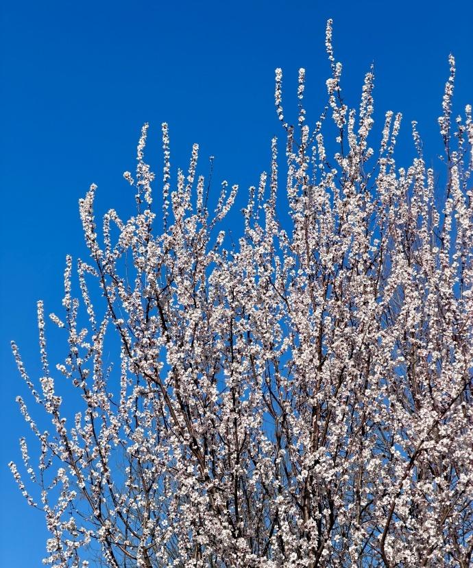 哎呀心情烦躁时，真的别钻牛角尖啦！试着把眉头松开，换个全新角度去瞅瞅眼前的难题你