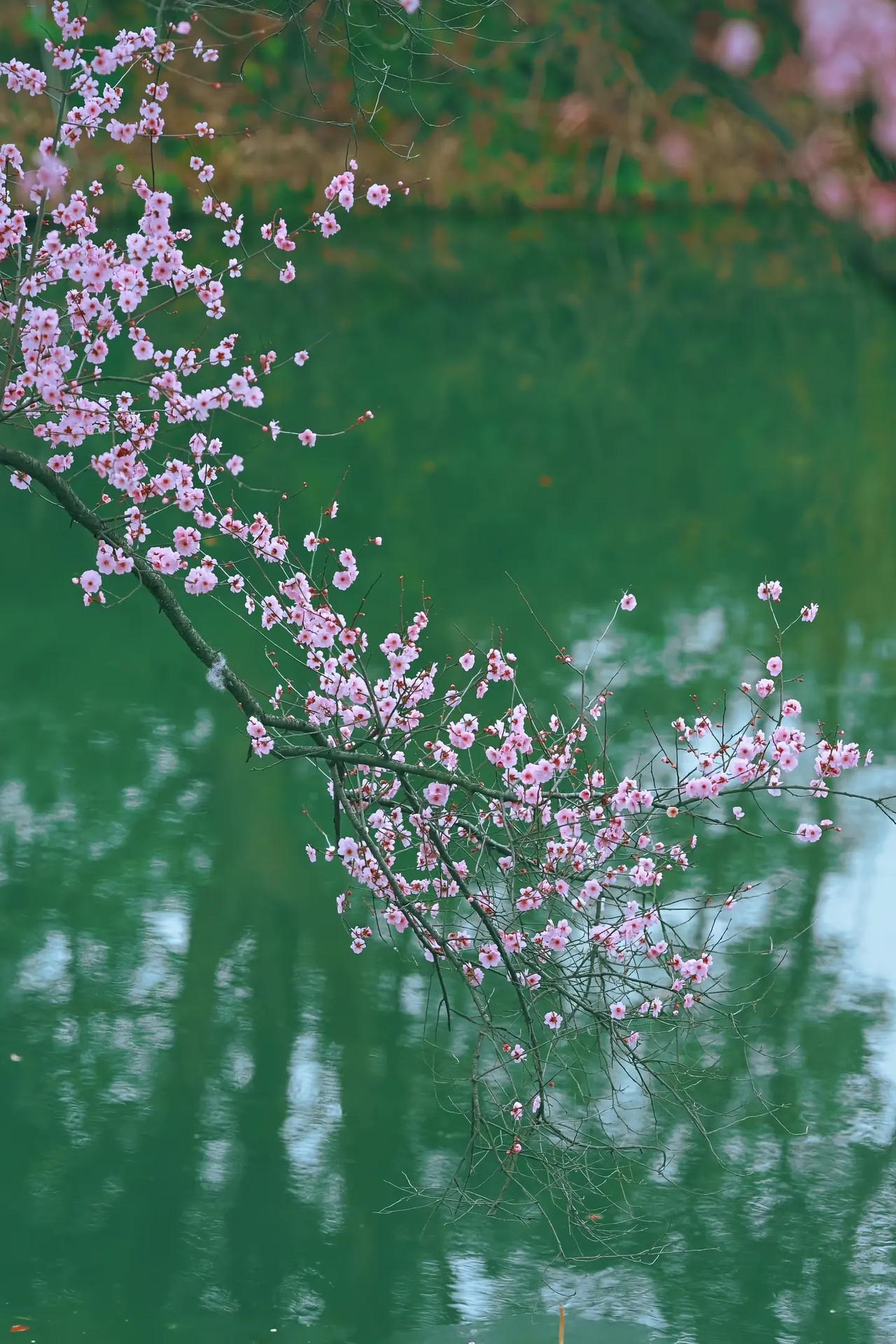 休战两个礼拜，你觉得就能谈出个好结果吗？根本谈不好，战事还会继续。如今世界已乱成