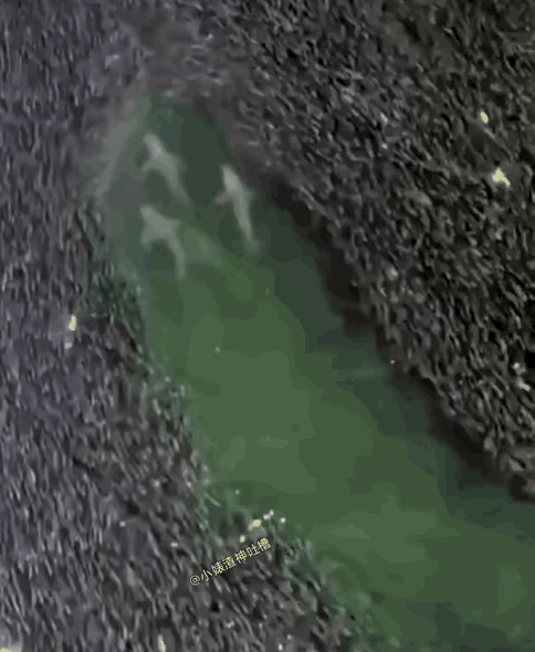 像不像大漂亮国在这个世界上肆无忌惮的“横冲直撞”！？

所有小国都得躲开，吓得躲