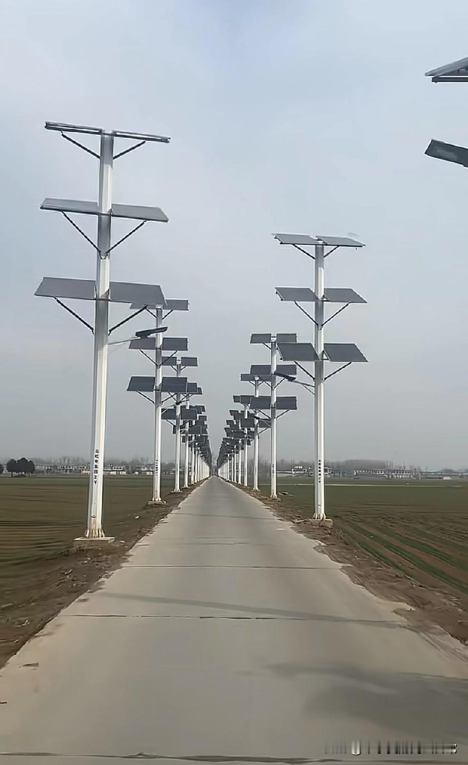 看来还是村长会花钱。。。
这阵仗比城里CBD还气派
 
开车回村的路上，我直接被