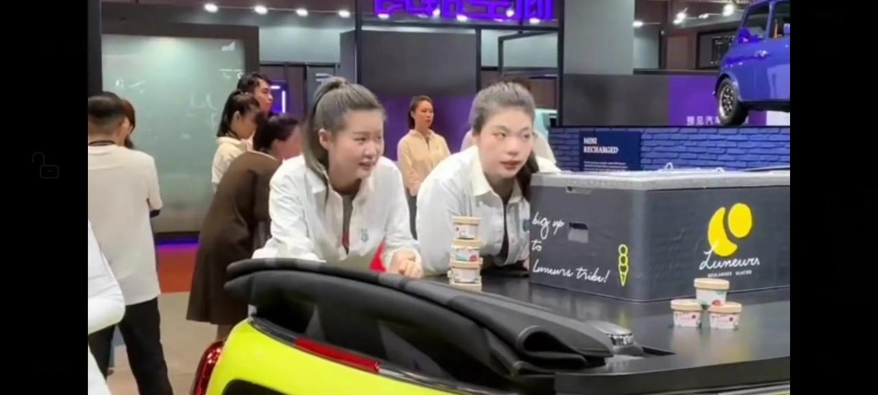 两名女生已离职，很多网友都说是宝马迷你用这两个人当替罪羊，不过这两名女生前后的态