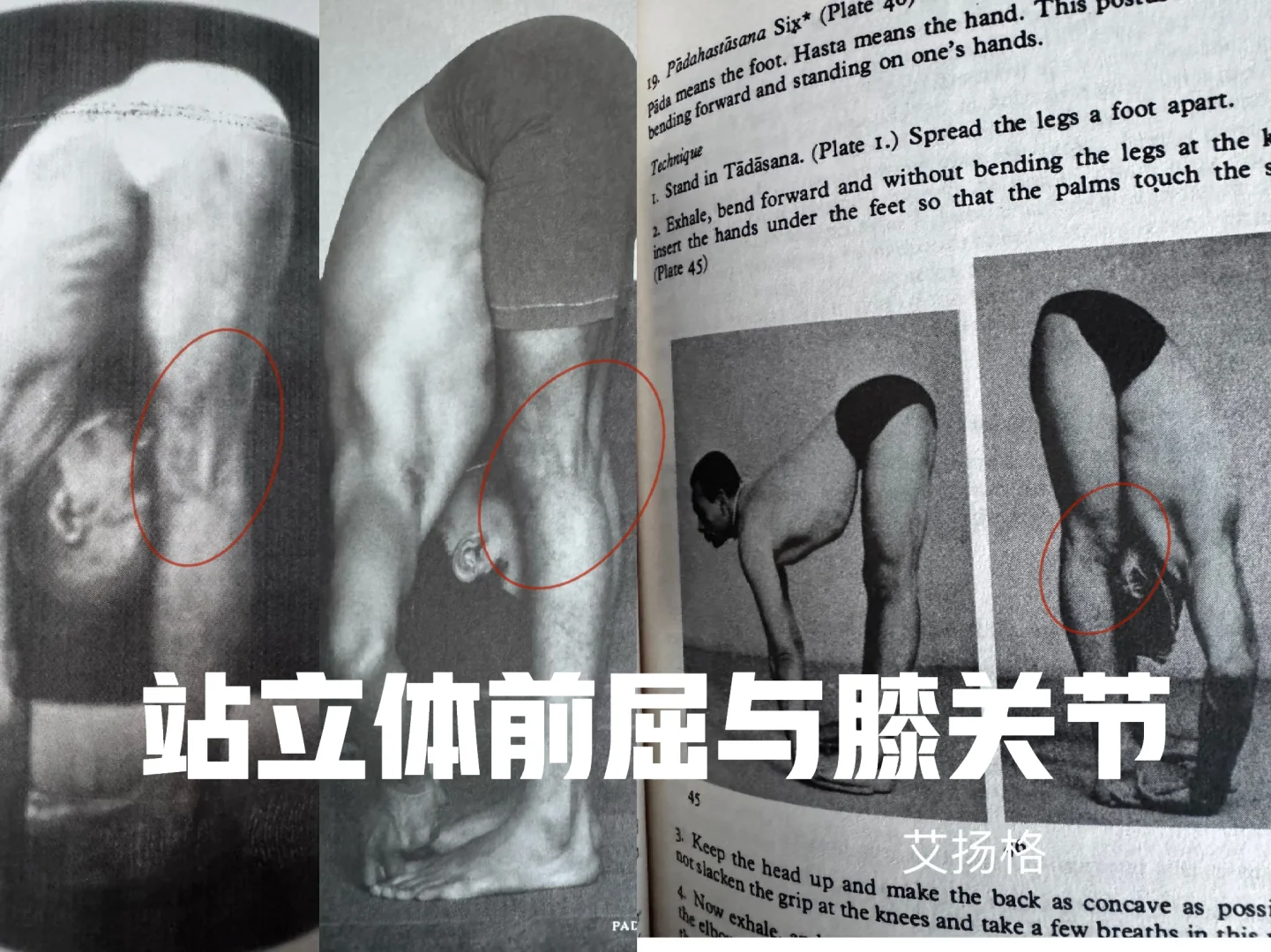 站立体前屈与膝关节