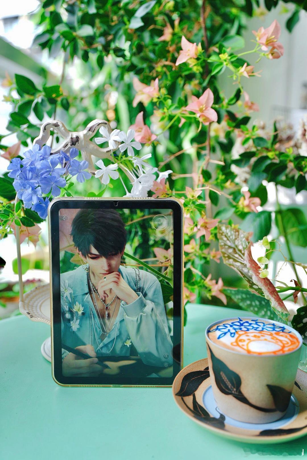 早♡₍˘｡> ࿁ <｡ ྀི₎ഒ三角梅卡亚塔快爆花了，已经初见雏形。三角梅也是花