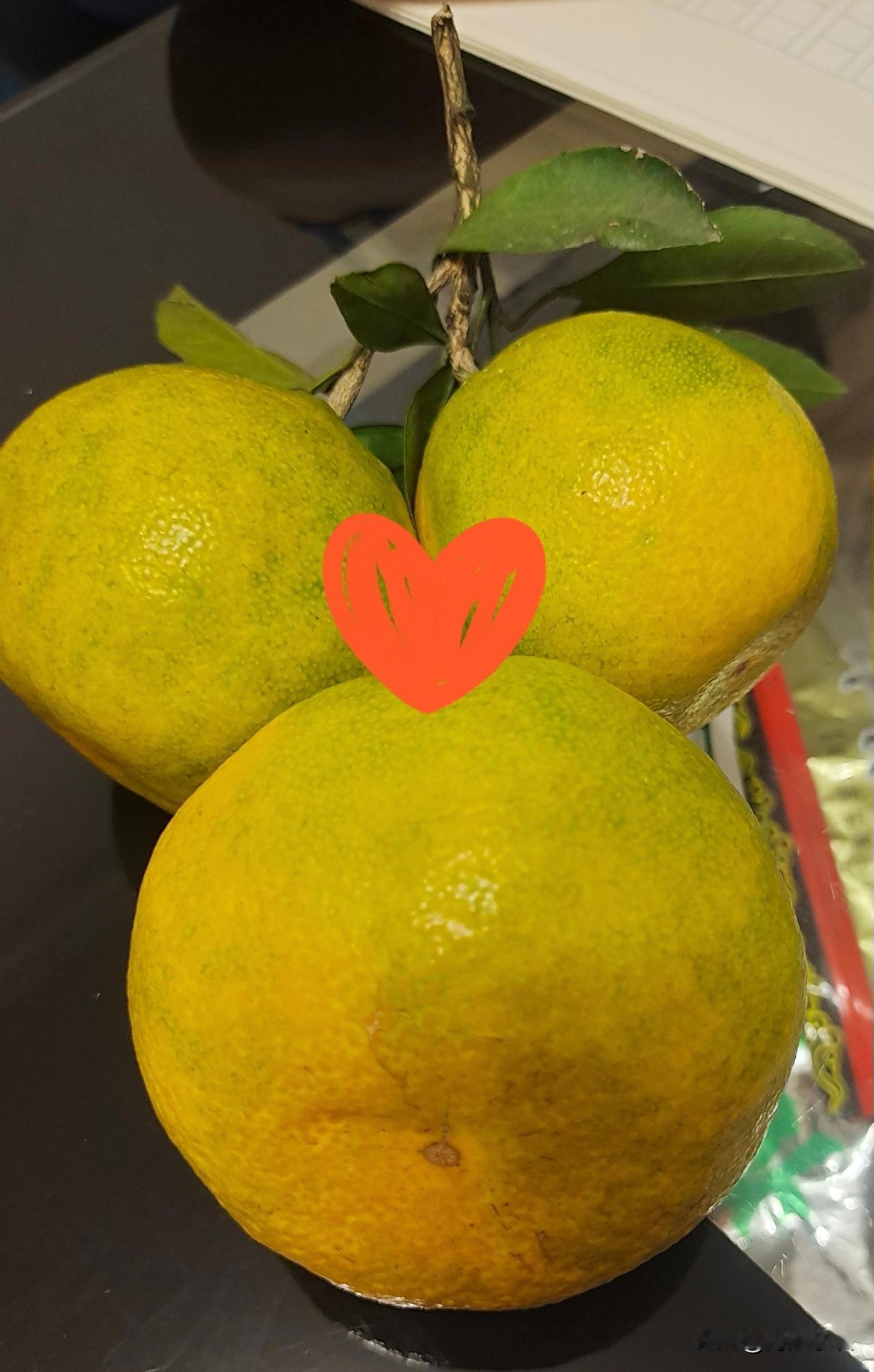 谁能告诉我今年的橘子为什么这么好吃？不爱吃的橘子我都觉得不错。今年橘子颜色是橘子