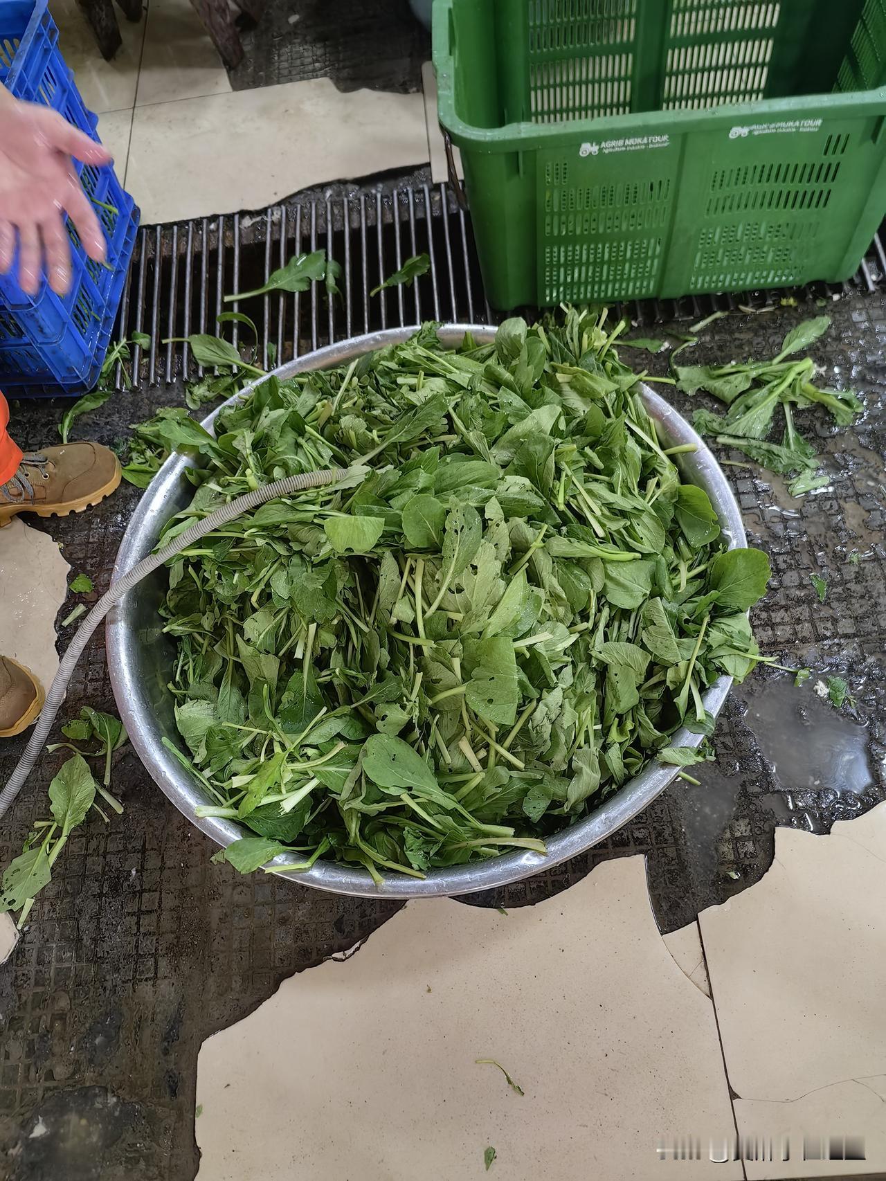 帮厨之洗菜
过水三遍
细节决定成败

为了快速洗完菜，大家好回去休息，有人提议: