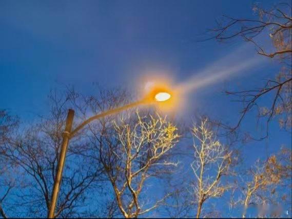 用善意点亮生活的每一个角落，让温暖无处不在。每日一善，是一种习惯，是一种态度。它