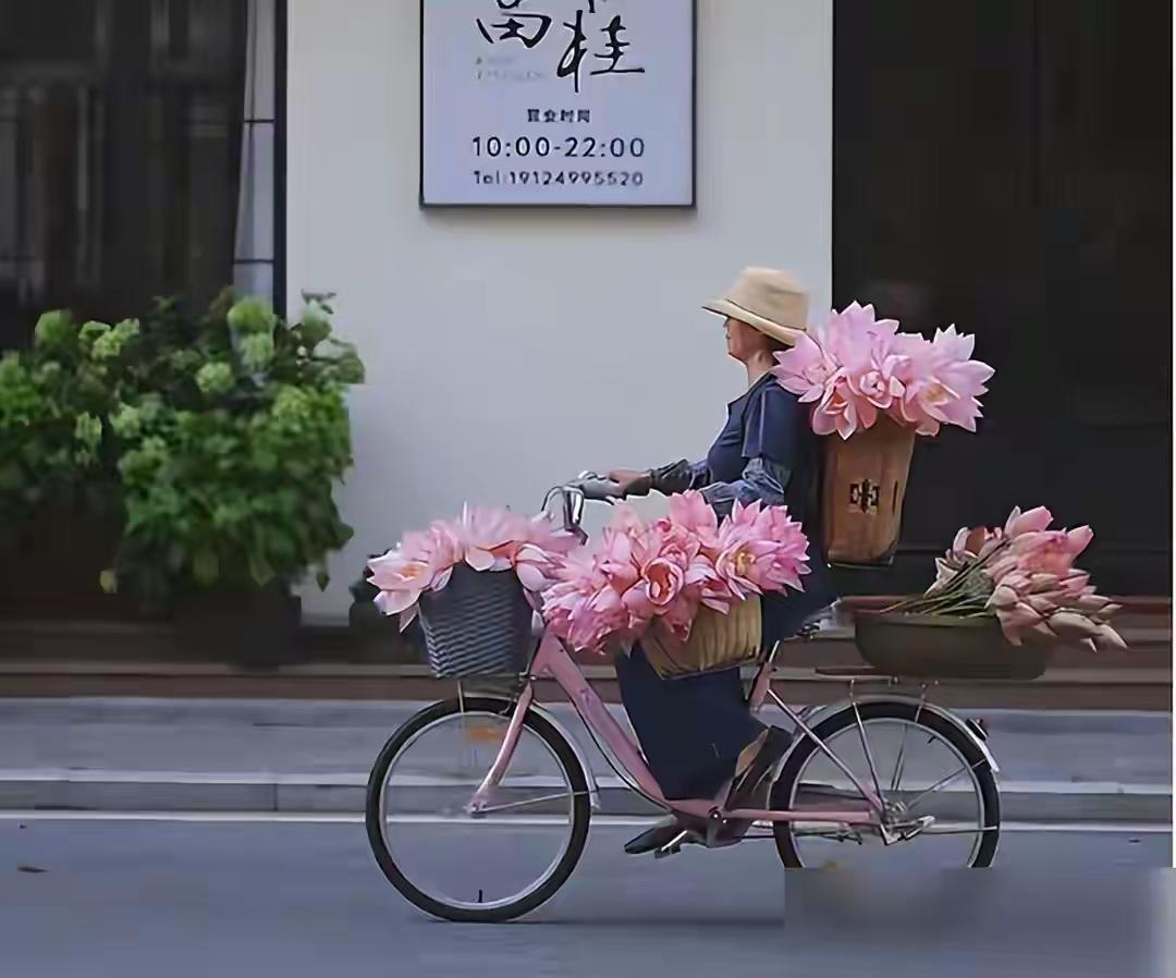 湛江街头骑单车卖荷花的姑娘，画面太治愈[玫瑰][玫瑰][玫瑰][玫瑰]
湛江街头