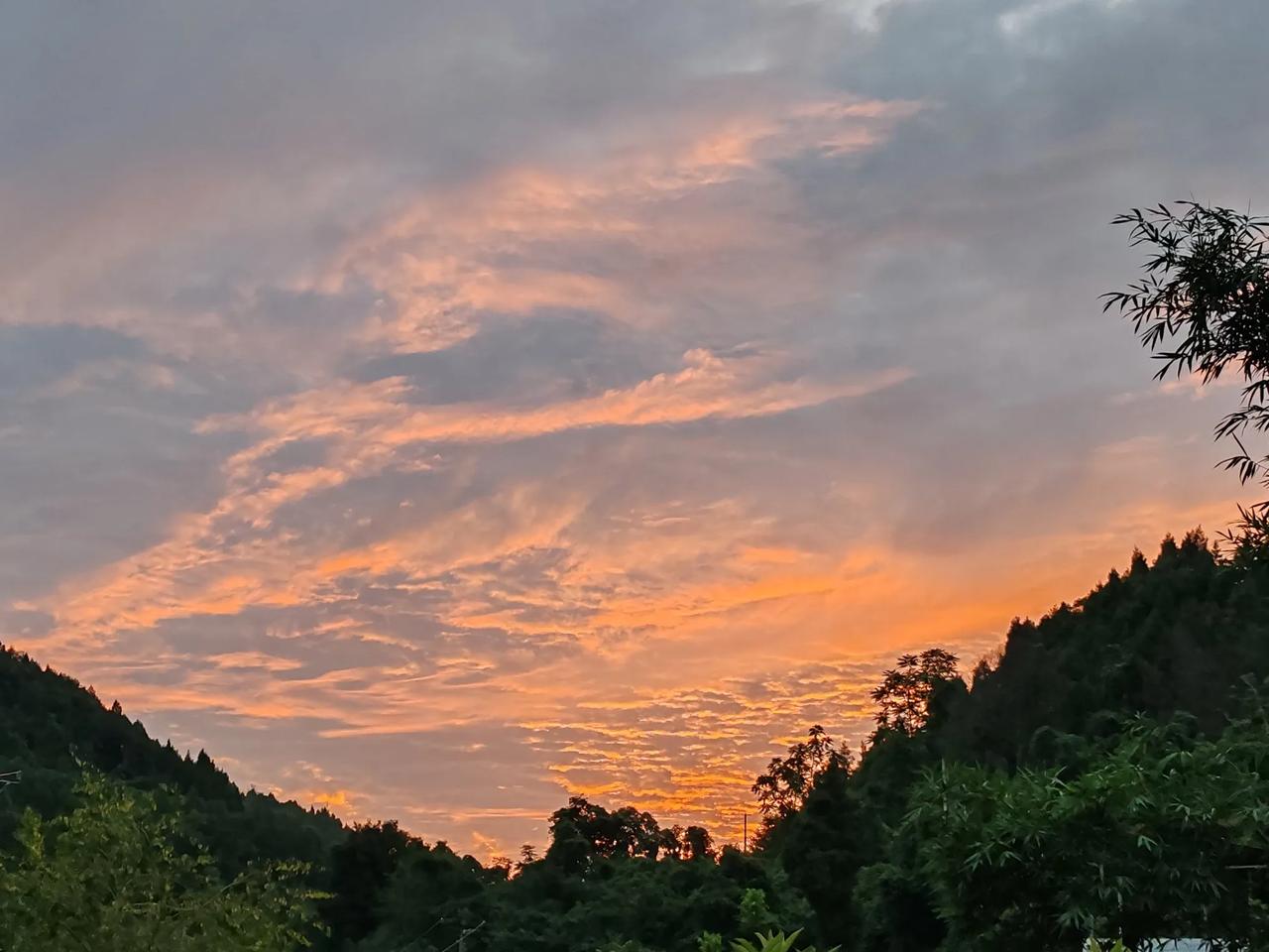 晒图笔记大赛不知啥时候起出门进门都爱台头看看天空，总感觉今年的天空有些不一样，这