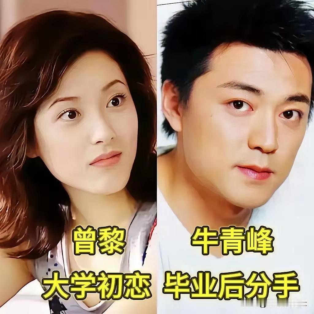 我觉得曾黎真的不是个以貌取人的女人！像曾黎这种标准美女，虽然我们在镜头里可能并不
