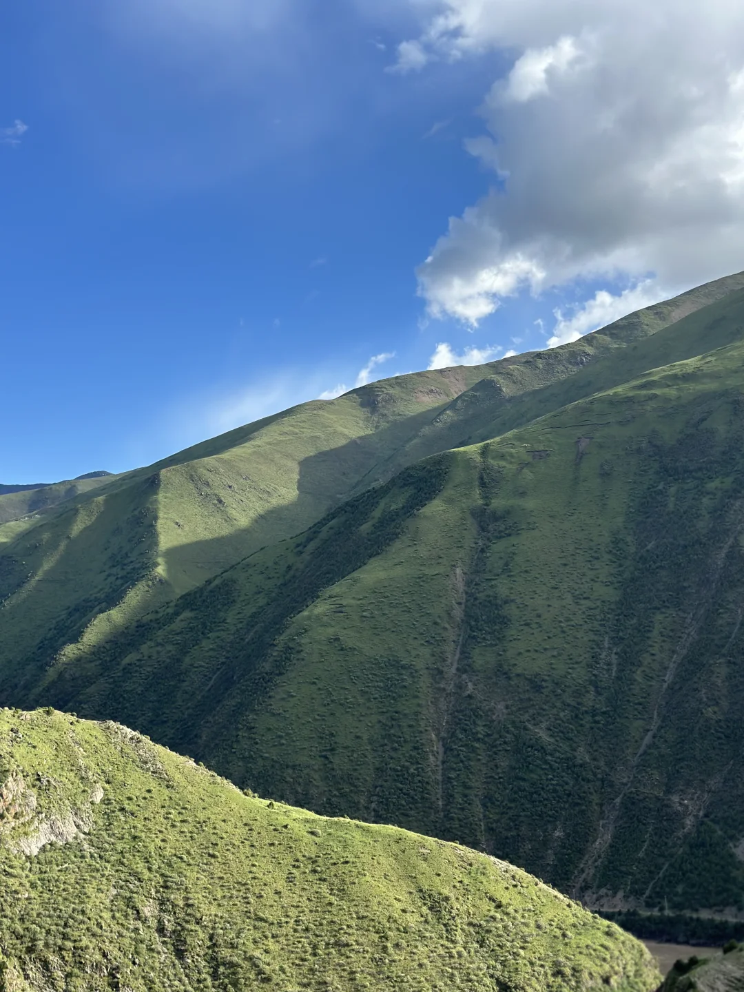 这里真的，山是绿色的！⛰️