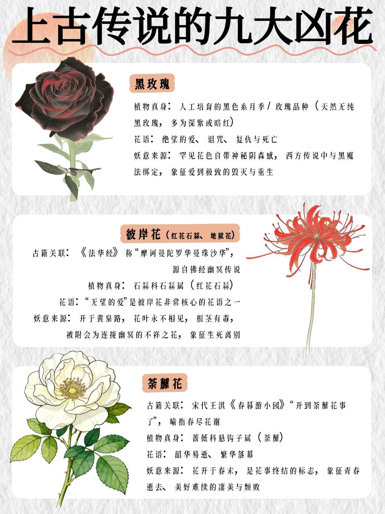 上古传说的九大凶花🌸每朵都美到窒息却又致命 