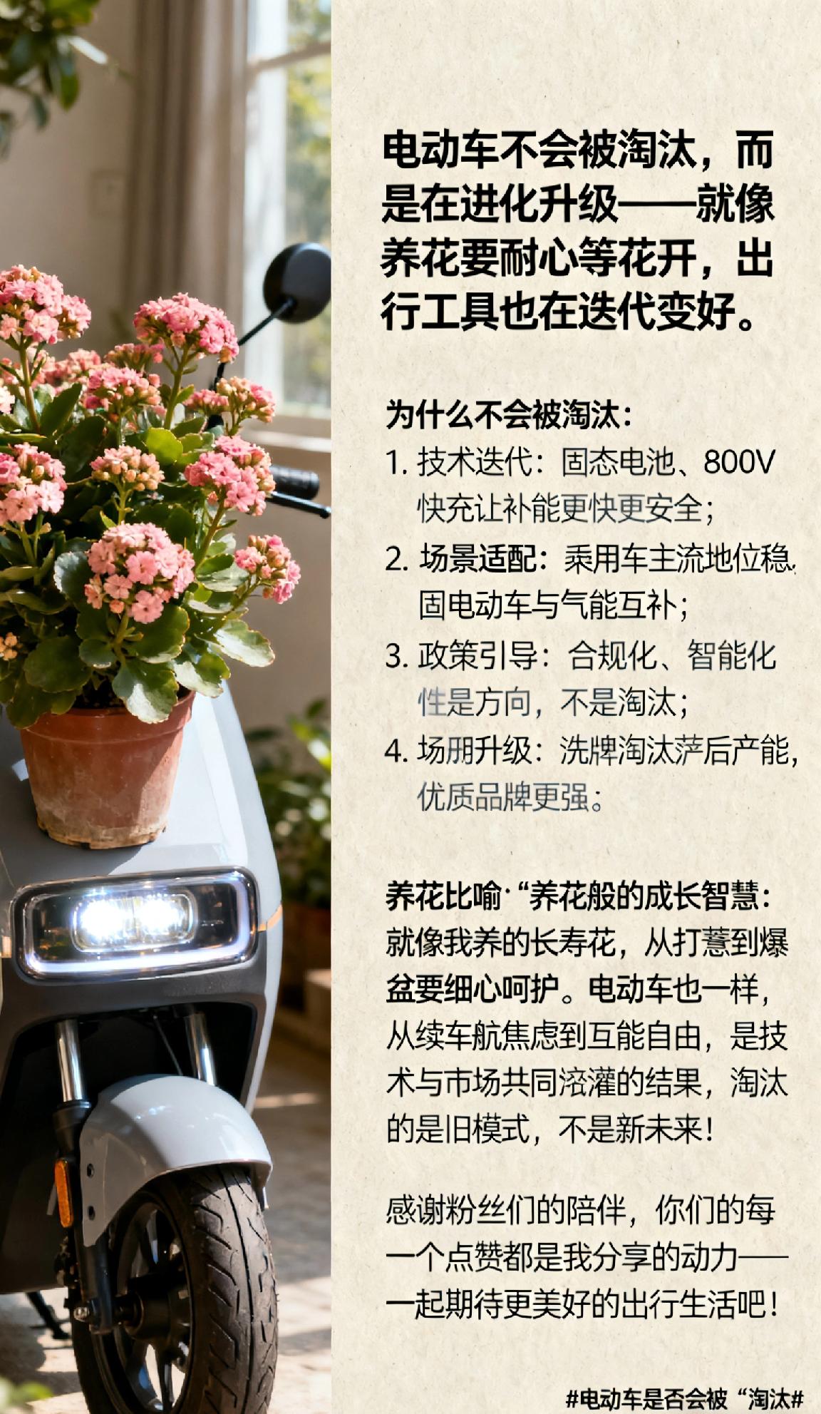 电动车是否会被“淘汰”? 电动车不会被淘汰，而是在进化升级——就像养花要耐心等花