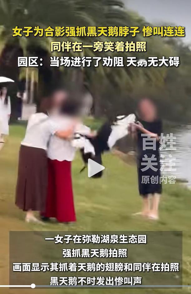 2026 年 8 月 17 日，云南弥勒湖泉生态园发生一桩不文明游园事件，一名游