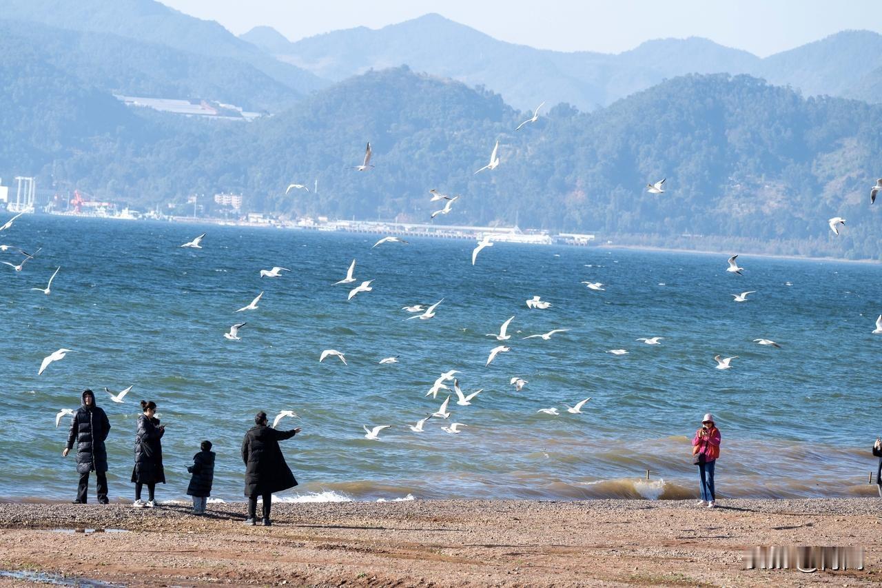 在生活中，许多女性都曾思考过这样一个问题：这一生，究竟可以依靠谁？是父母、伴侣，