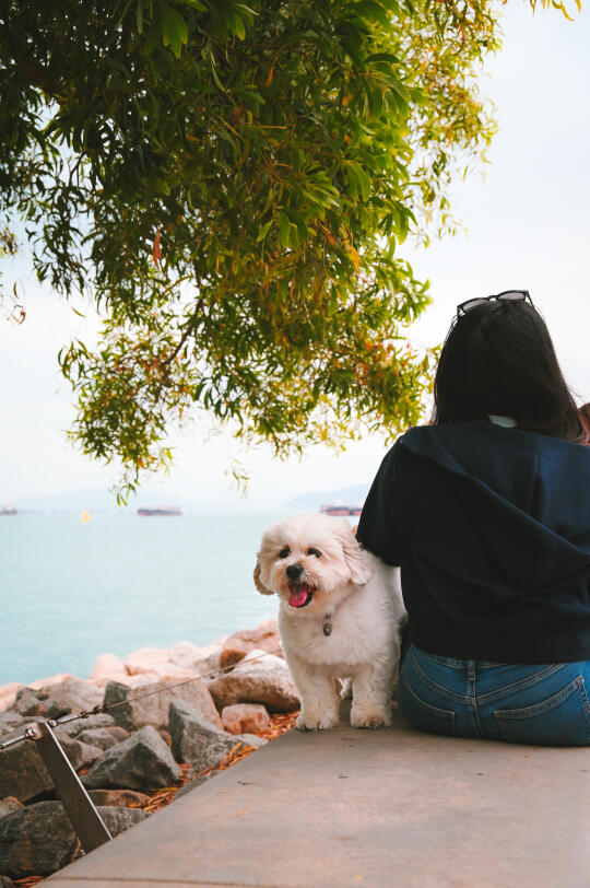 其实，香港最让人心动的才不是网红打卡点…