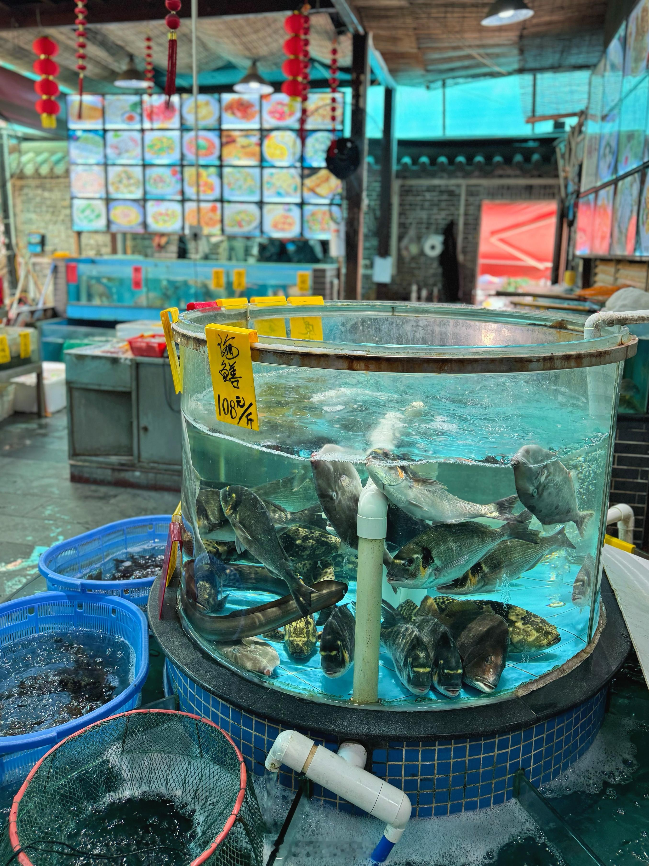 一些比较地道的顺德菜，可以自驾游过去吃。其实顺德基本没有不好吃的，或者反过来吃，