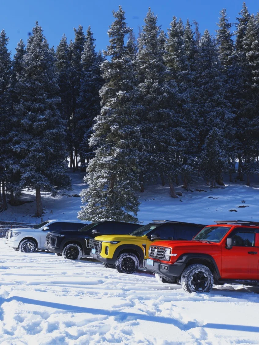 北疆越野，阿勒泰+赛里木湖，完成小时冬季
