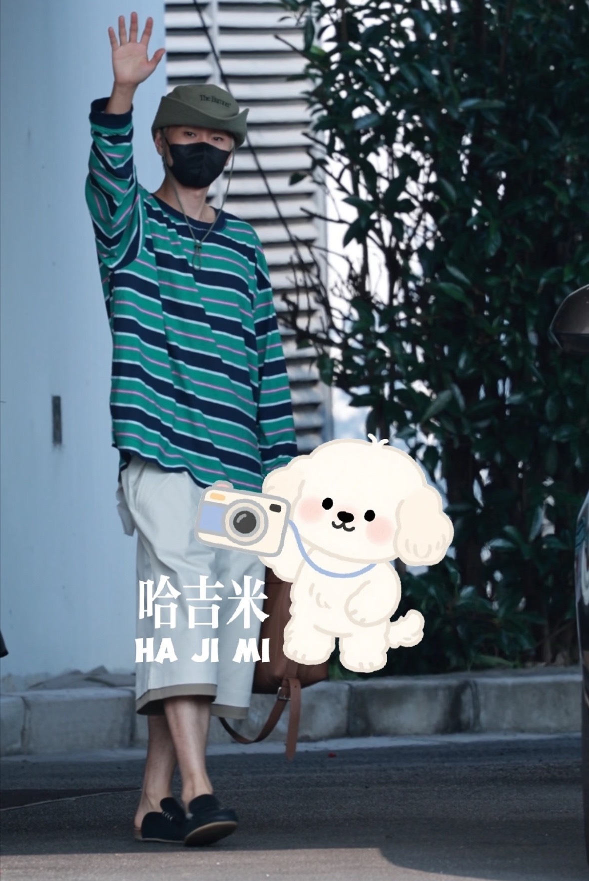 好可爱