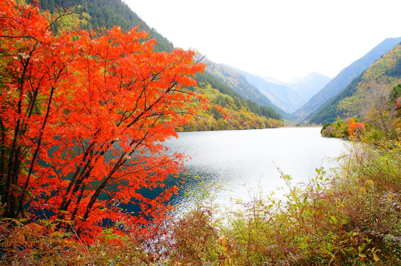 一路山色，随手拍一张风景照