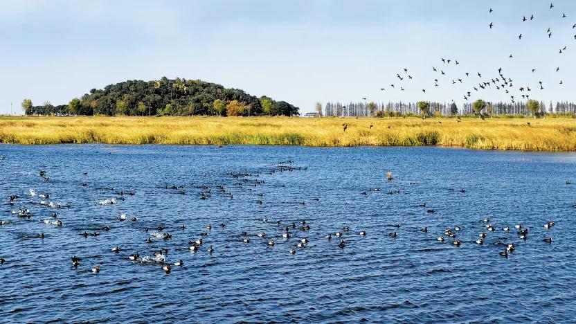 【乌龟在地上是跑不过兔子，可乌龟在水里永远比兔子游得快】
        “乌龟