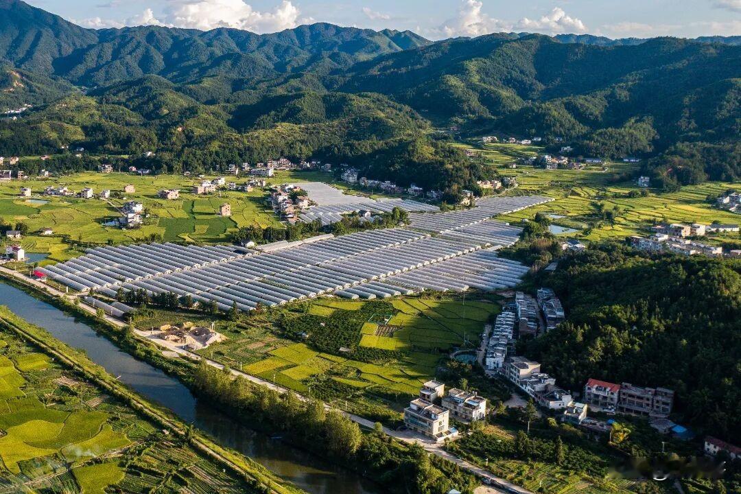 谈到农村发展，农业集体化与家庭单干，经常被拿出来比较，很多人会简单二选一，非要分