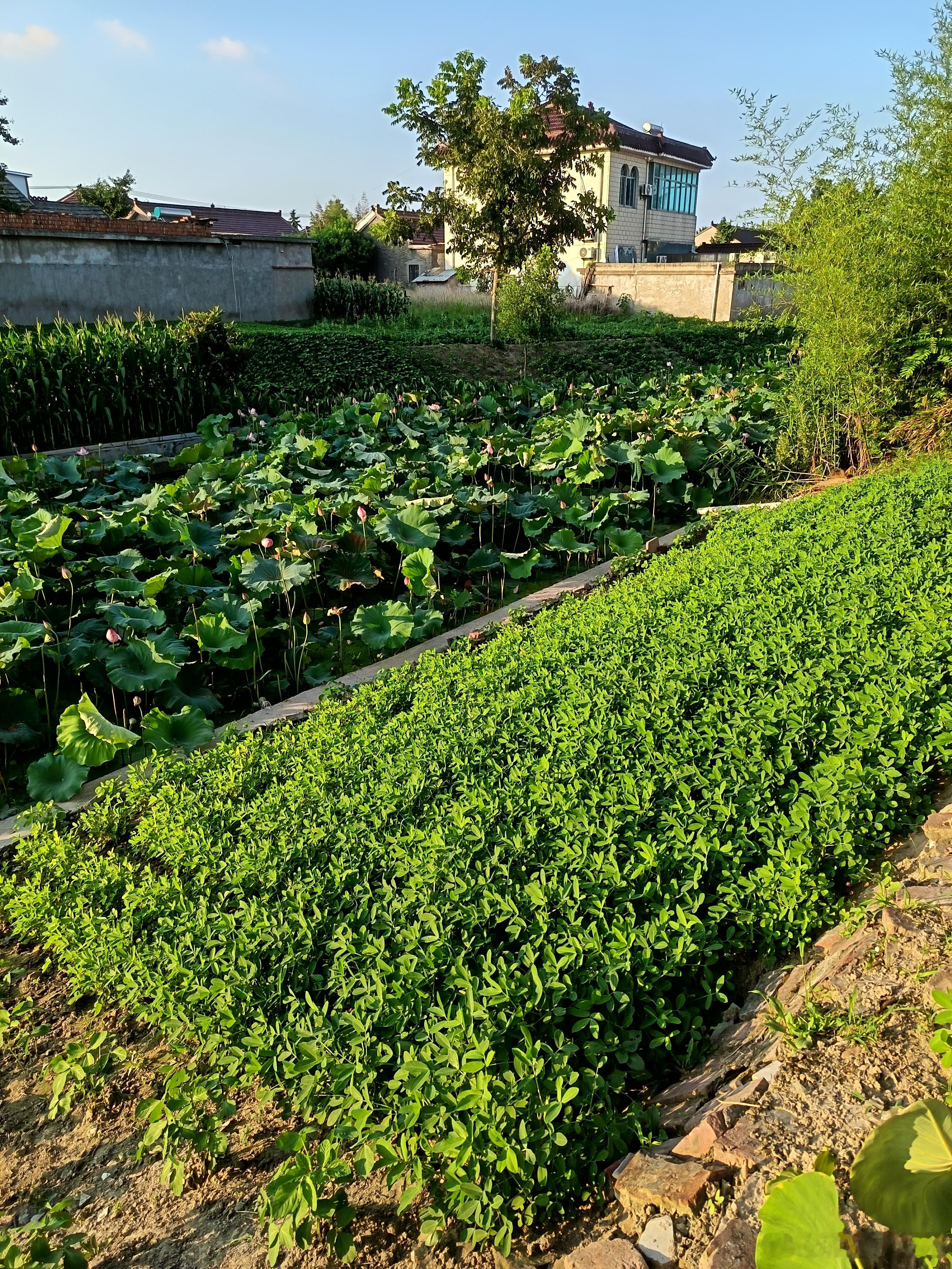曲线之外救民族！天下百姓的天下！ 