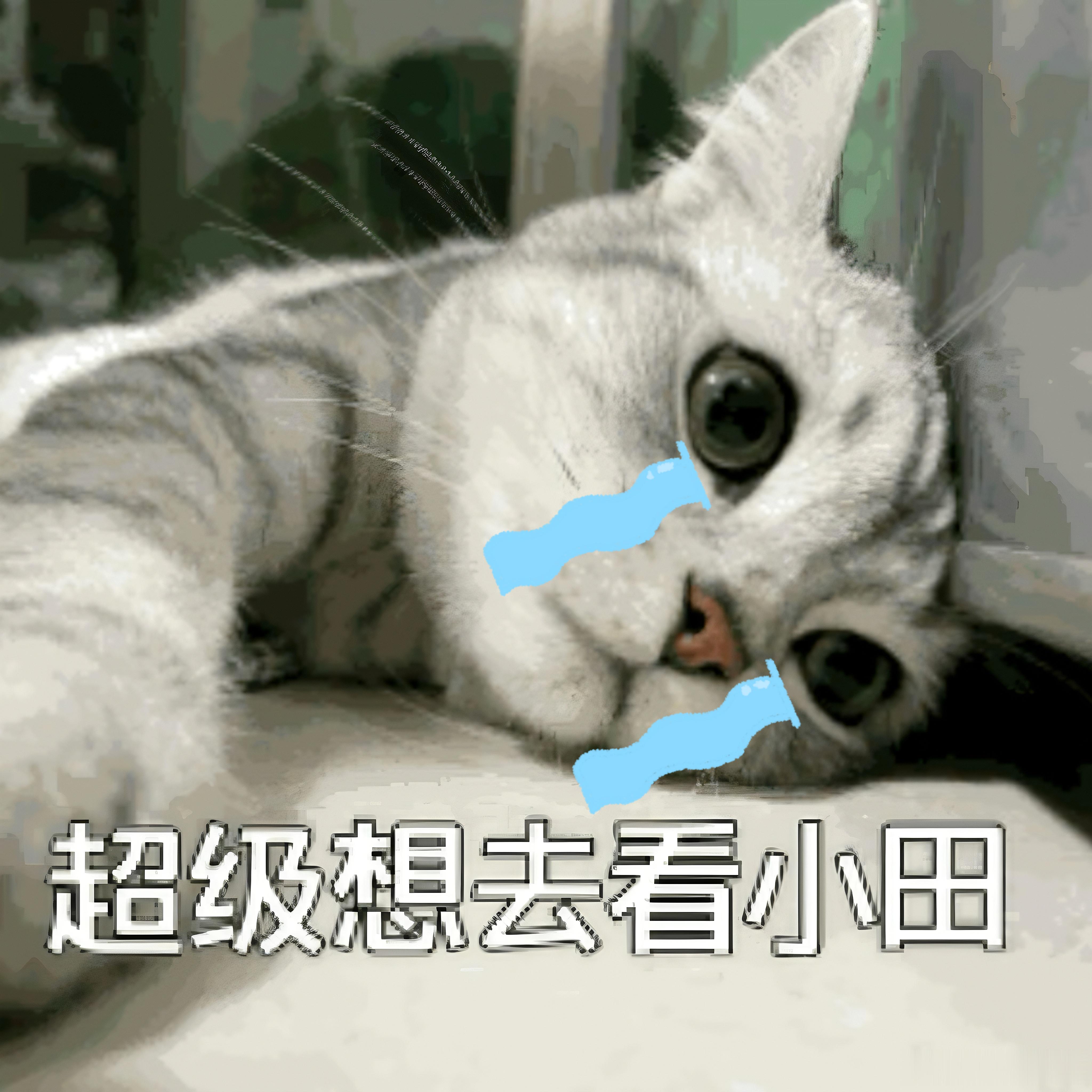 今晚心情和坐过山车🎢一样，一上一下，看到这个活动先是开心，然后就犹豫，因为和工
