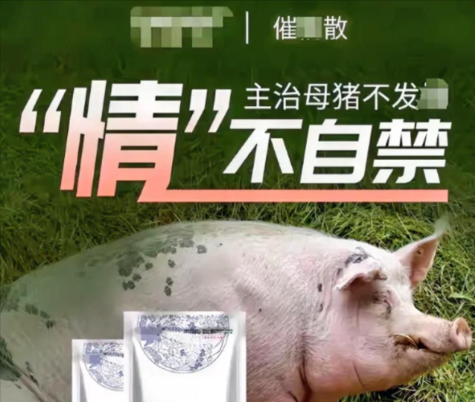 2019年小伙往饮水机投放母猪催情剂长达两年，却无一人发现，直到整个单位上至局长