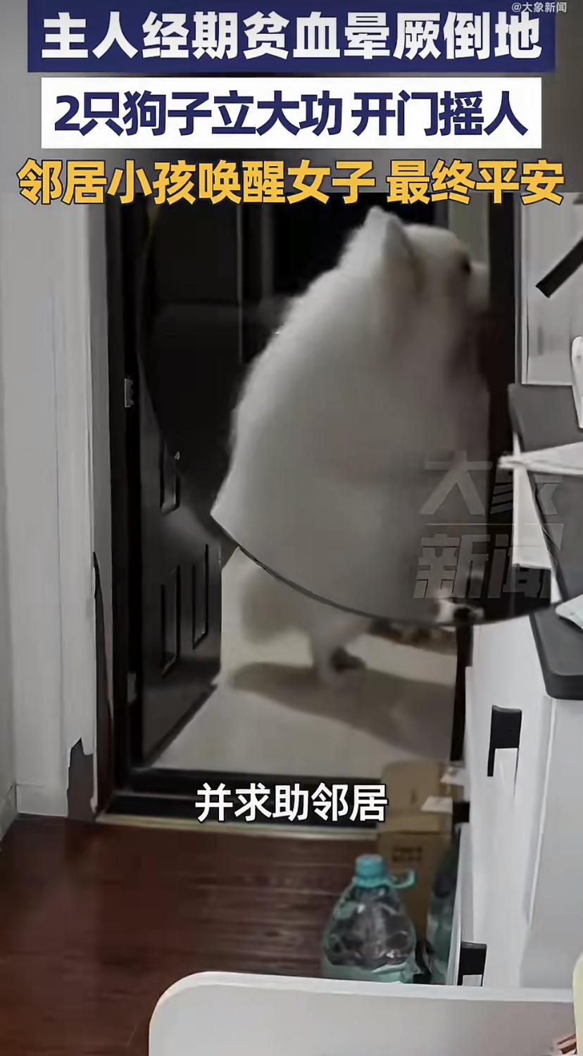 好端端蹲在地上，一起身，眼前一黑就栽倒了四川一个姑娘经期贫血，直接晕在自家客厅里