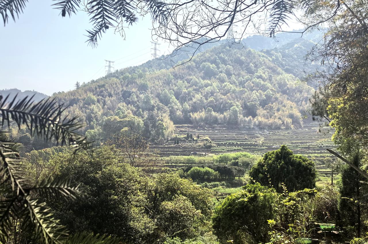 五律·清明有感
夜雨落明前，
云收见翠烟。
山花凝冷露，
飞鸟入平川。
野径寻遗