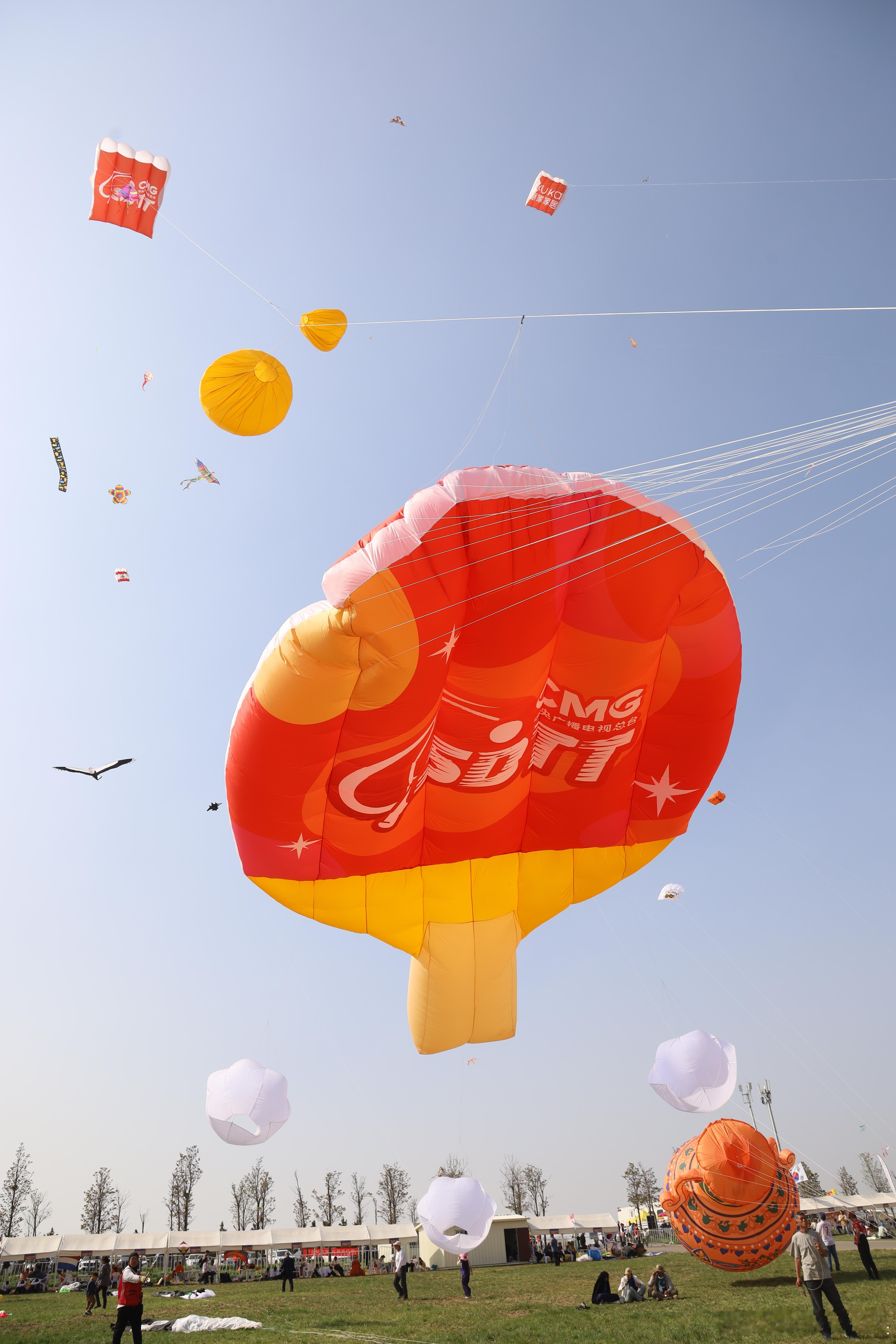 在潍坊风筝节看到好大的乒乓球拍潍坊风筝节潍坊风筝节从不缺惊喜，乒乓球拍风筝腾空而