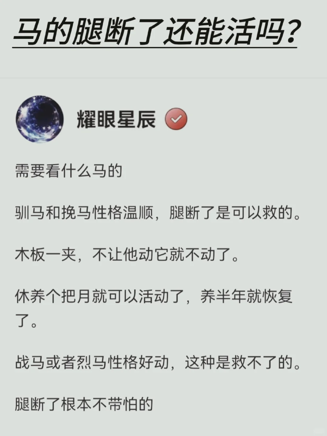 马的腿断了还能活吗？