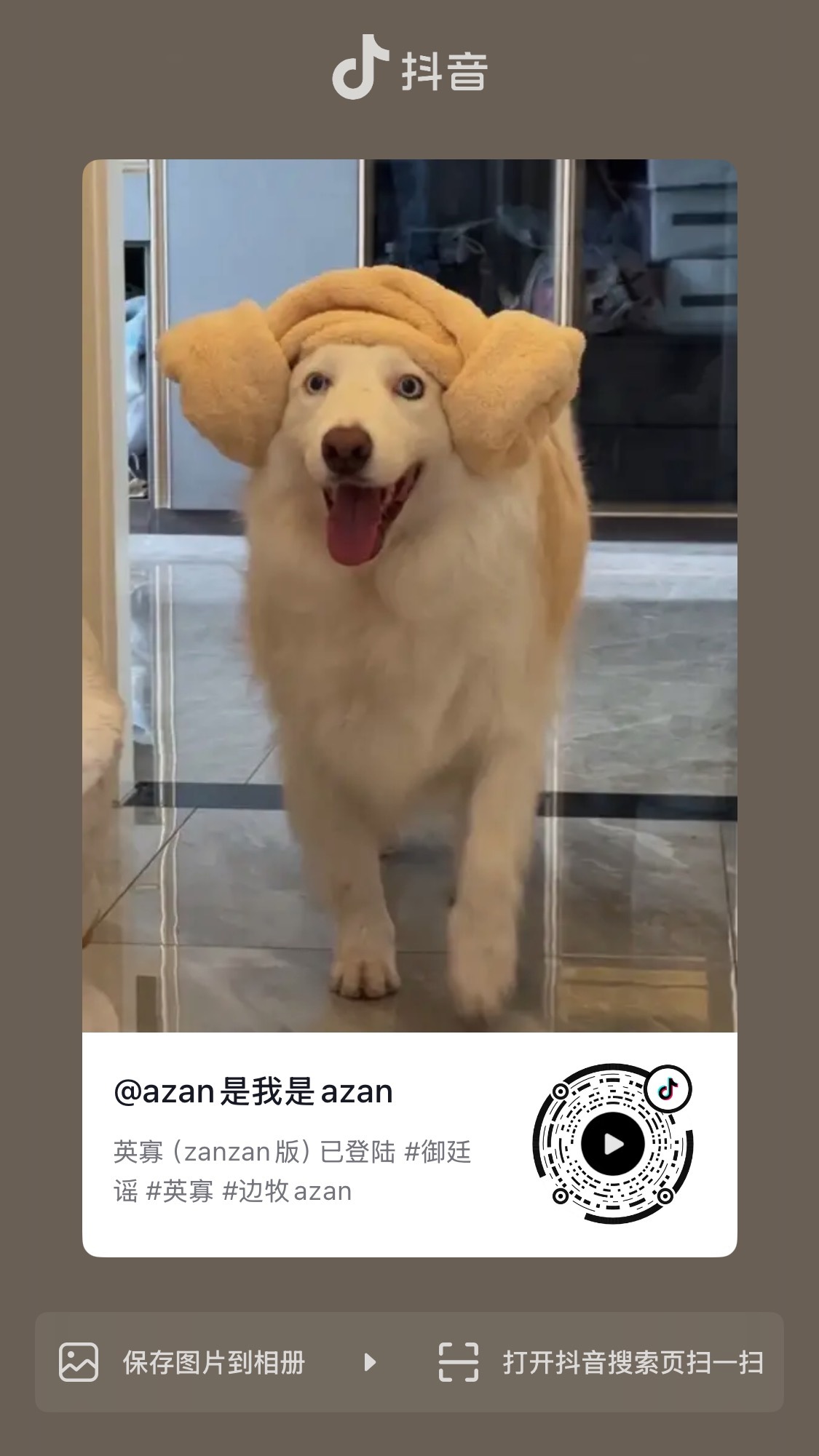 全体起立看zan宝版英寡朝堂反腐戏码哈哈哈哈哈陈哲远英寡陈哲远少年帝王揽才指南
